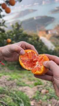 这么好的阳光☀️ ，
这么好的橙🍊 ，
这么好的维C[强]，
这么好提高免疫力的天然水果，等着你[哇]