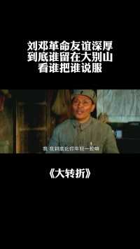 刘邓革命友谊深厚，到底谁留在大别山，看谁把谁说服#大转折#电影解说#
