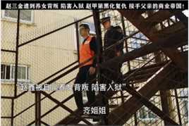赵鑫（赵三金）遭陷害入狱 刚大学毕业的儿子赵甲第接手父亲的商业帝国 这场仗才刚刚打响！