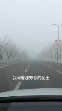 2022年1月7日行驶在大雾中，妙不可言