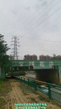 HXD1B武局江段货列下行通过316国道公路桥去鄂州站