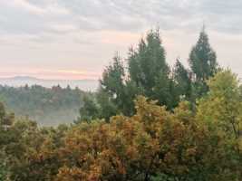 深秋的黎明有多美？今天早晨我在北山公园悦心亭拍摄的晨雾中的牡丹江风光！