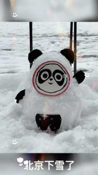壬寅年正月十三·北平·雪❄️北京下大雪了