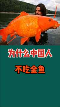 为什么中国人从来不吃金鱼？这里面讲究多了