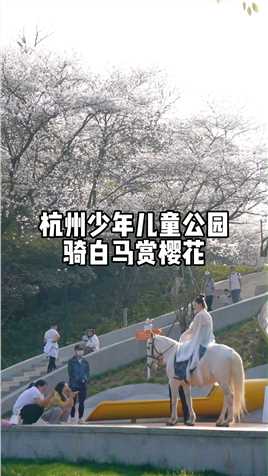 杭州比较冷门的赏樱景点，少年儿童公园，一片雪白如同浪漫的童话世界，还能骑上白马顿时仙气飘飘。