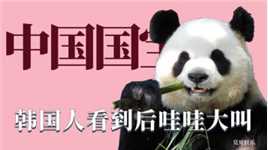 中国熊猫就要征服世界：韩国人看到哇哇大叫，在外国享受最高待遇