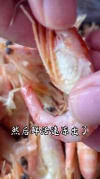 好吃的北极甜虾真不用去虾线，你吃对了吗？#海鲜美食诱惑你 #海鲜美食