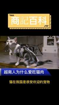 越南为什么没有流浪猫？因为都被他们吃完了#涨知识 #流浪猫 #越 #越南