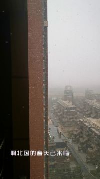 天津三月雪花飞。