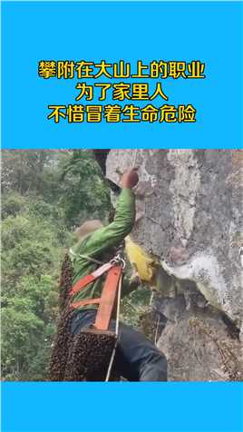 攀附在大山上的职业，为了家里人，不惜冒着生命危险！