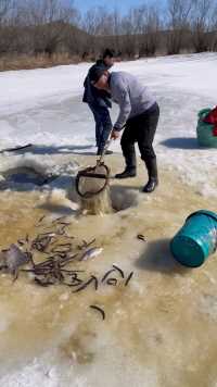东北人冬季捕鱼现场。