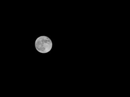 今天晚上的月亮好圆，好好看啊😍😍