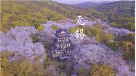 最美樱花季，你会来江苏看看吗？