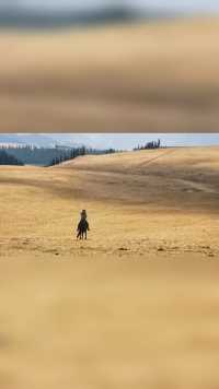 #美丽大草原  骑马漫步在草原上，惬意的生活。
