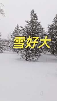 北京下大雪了