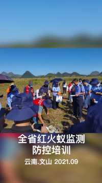 云南省红火蚁防控培训（2021.09）