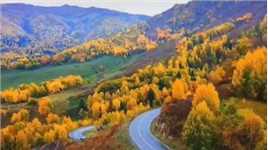 带你去看看新疆最美的秋天🍂