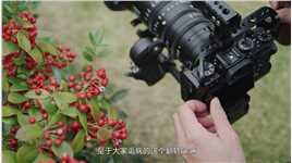 万元内最值得购买的APSC视频微单富士XT3