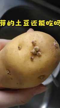发芽的土豆还能吃吗？这么多年一直误解了，扔掉实在浪费