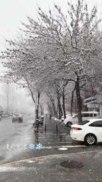 #我的城市下雪了 #人世间 #࿆三࿆月࿆的雪