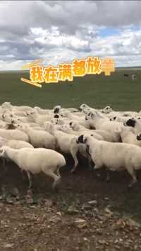 牧羊生活