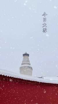 今日#大雪# 
大雪压青松，青松挺且直
祈愿事事如意，人人安康