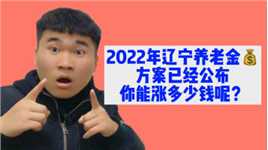 辽宁省已经公布养老金调整方案？2022年能涨多少钱？一起来算算吧