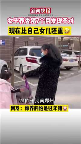 2月1日，河南郑州，女子养小香猪到7个月时发觉不对劲，现在小猪1岁比自己女儿还要重，网友：这怕是养的年猪！