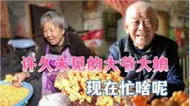 农村79岁大爷搞副业，吃大锅饭喝小酒，大爷的生活看着让人羡慕