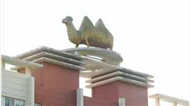 宁波镇海的骆驼镇地标建筑，骆驼镇正在巨变，下班高峰的马路和车站，路边小摊#宁波摄像#城市风光#城市纪实
