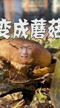 #百变崔鑫 今天我变成了蘑菇