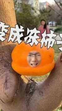 #百变崔鑫 今天我变成了冻柿子