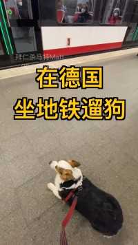 在德国坐着地铁去遛狗 #坐地铁遛狗 