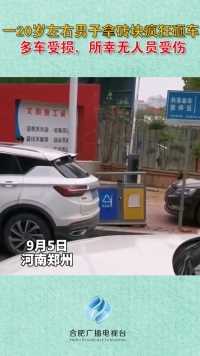 郑州一20岁左右男子拿砖块疯狂砸车，多车受损，所幸无人员受伤