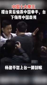 中国拳王杨建平被日本拳手喷水羞辱,反身踢爆日本人