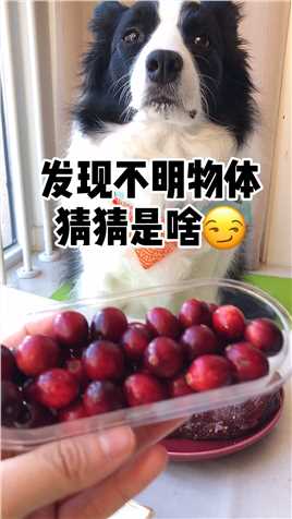 鲜的蔓越莓果你吃过吗？帮我形容一下好嘛😂