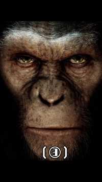 当猩猩变得比人类更配成为“人类”