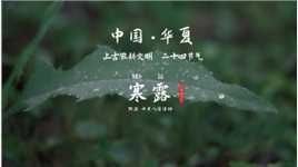 寒露 • 被遗忘的二十四节气 之一 、中国华夏的文化智慧结晶