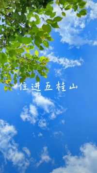 蓝天白云就在五桂山