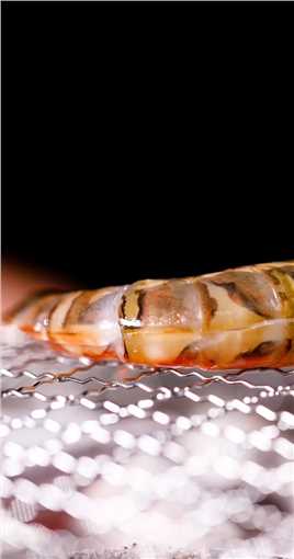 烤黑虎虾，洋溢着东南亚热情风味的烤黑虎虾，看这巴掌般大小的黑虎虾，海鲜控忍不了了！随着炭火温度的升高，开背虾慢慢张开。