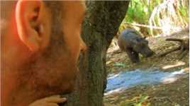 德爷在树林跟狒狒吵架，营地里来了一位不速之客，吓得他惊慌失措