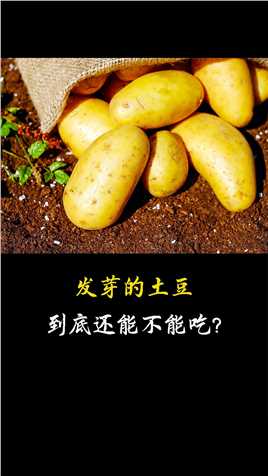 #科普 #涨知识 #土豆 发芽的土豆到底还能不能吃？如果吃了又会怎样？