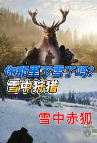 猎人野性的召唤 雪中狩猎，雪中赤狐 #猎人荒野的召唤 #单机游戏  #主机游戏 