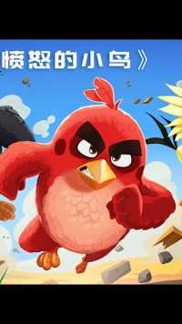 愤怒的小鸟（中）我连看三遍太解压了，万万没想到！ #愤怒的小鸟 #动画电影 #搞笑动画#动漫电影 #搞笑动画 