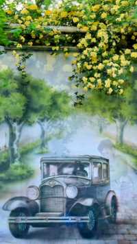 在南京碑亭巷盛开的木香花从围墙上倒挂下来，在明媚春光下，木香花开如瀑，清新迷人，与复古的