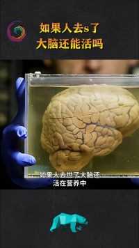 如果人去世了，大脑还活在营养中那大脑还活在虚拟的世界里吗？