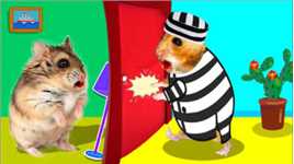 小仓鼠发现“逃犯”，仓鼠警官勇闯迷宫前往逮捕，它能抓到吗？