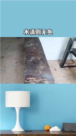 水清无鱼，人察无徒