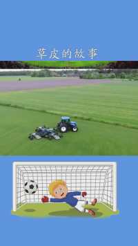 足球科普，球场草皮的故事#足球#足球的魅力#冷知识#足球冷知识#唯有足球不可辜负#球场#百万视友赐神评
